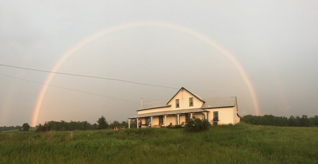 Rainbow - CSAs Start This Week — Knuckle Down News Week 1