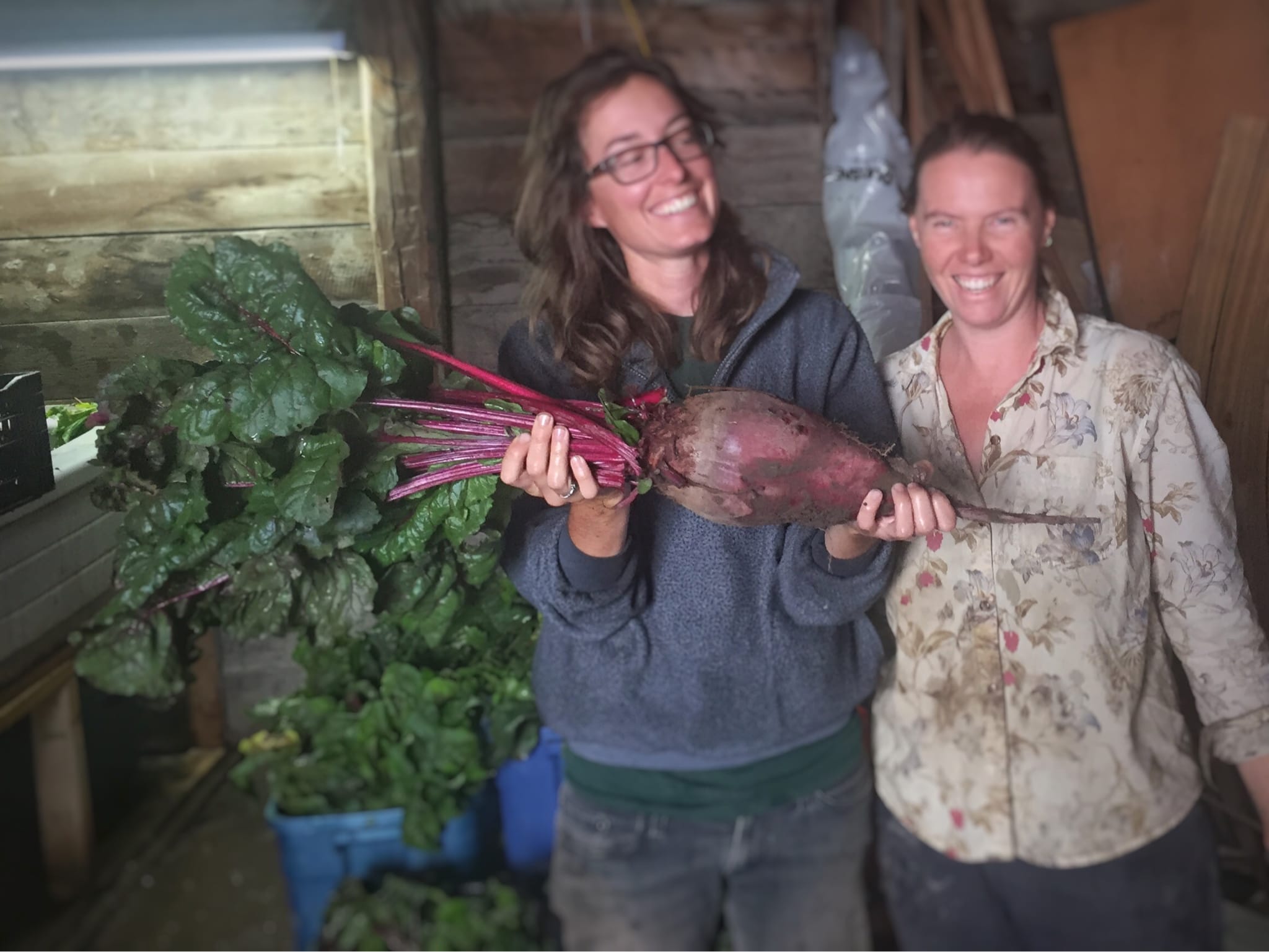 Kate, Jenny, & the Very Large Beet