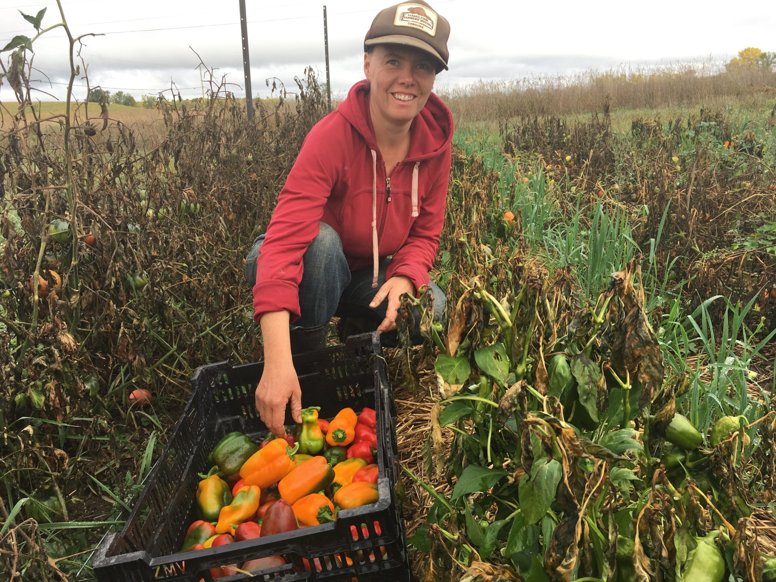 Autumnal Harvest