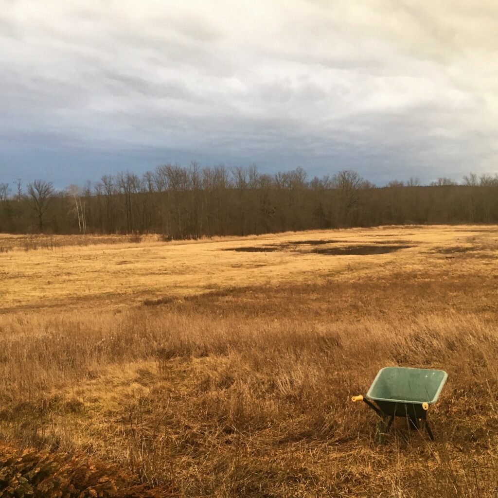 Bird Habitat - Greenhouse Greens, Bobolink Dreams, & a Deadline