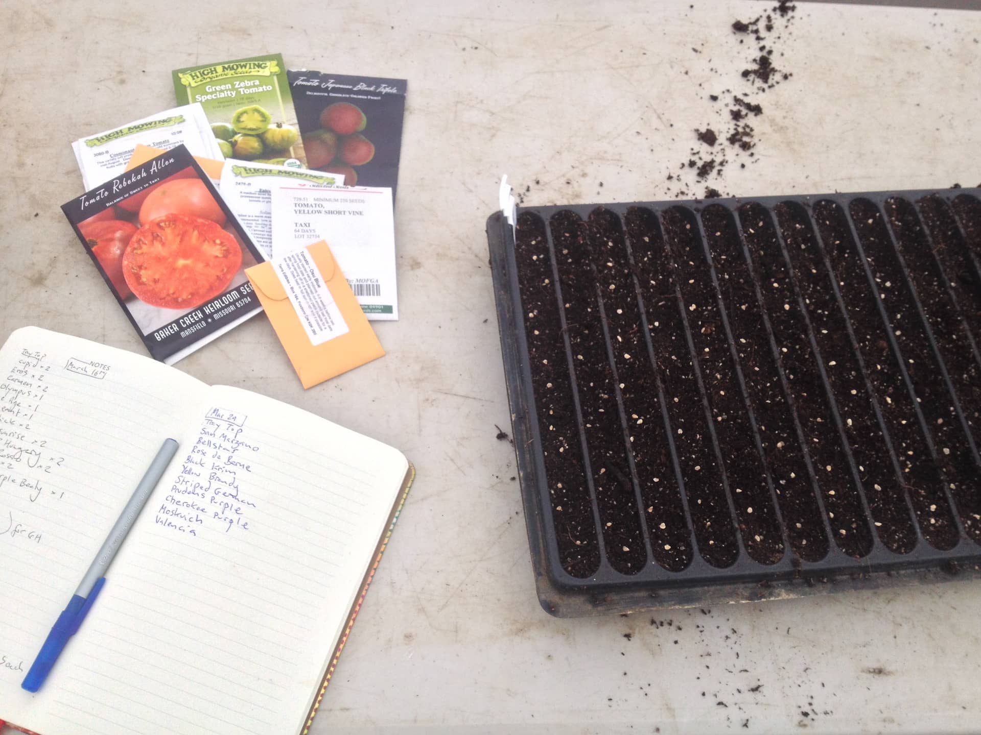 Planting Seeds, Planning Plants