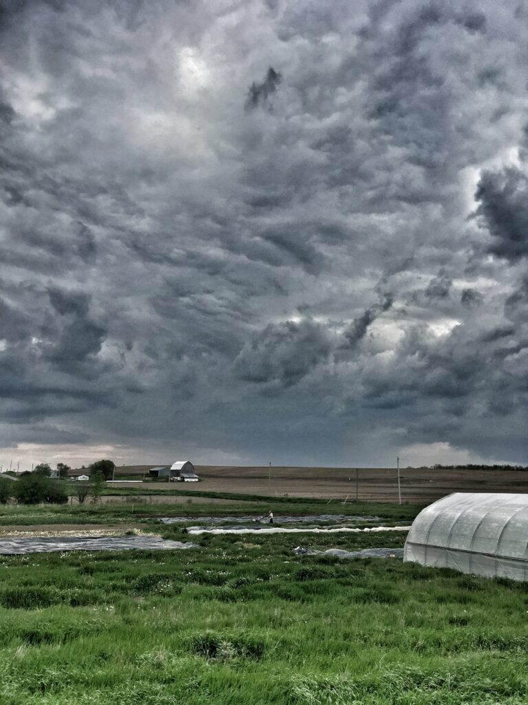 small tractor dramatic sky - Knuckle Down News Update: April Showers Bring May Showers