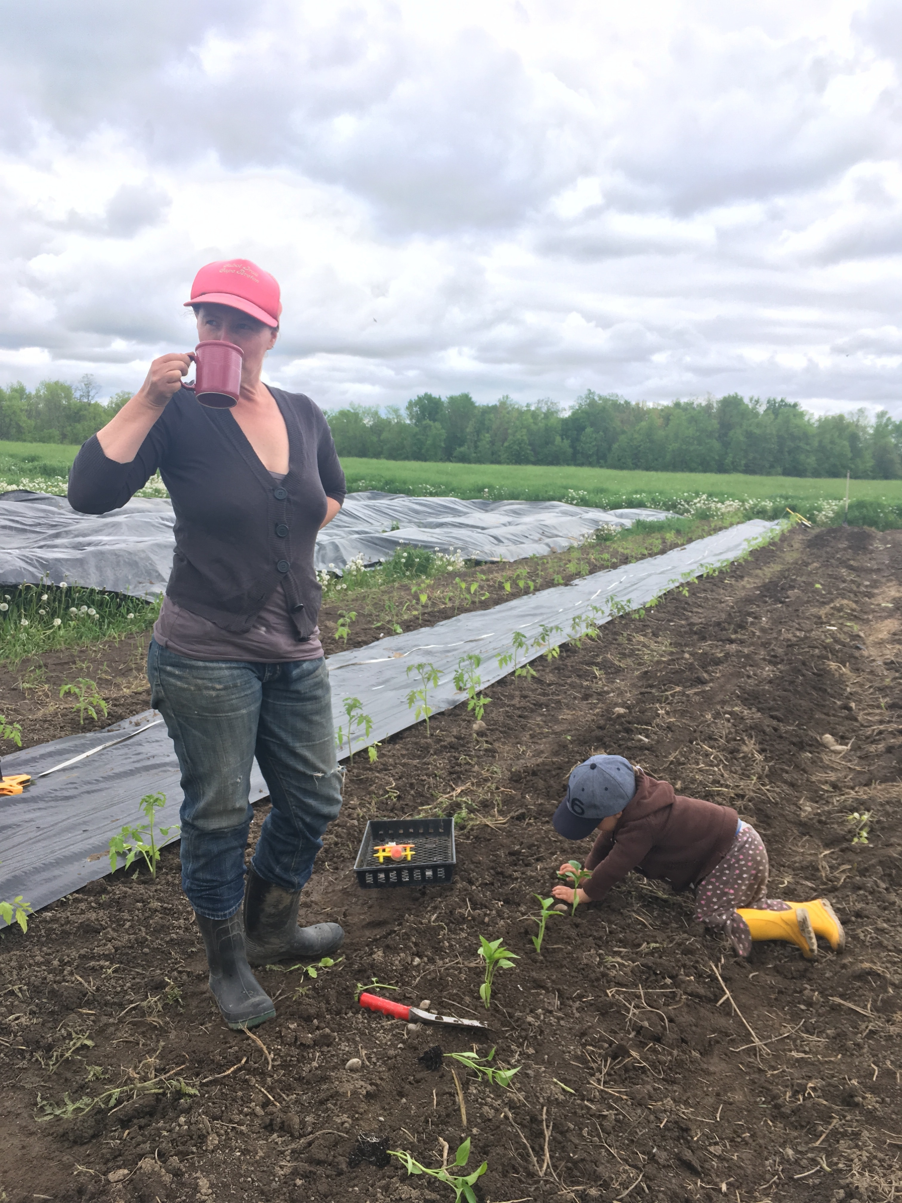 Knuckle Down Farm A Small Organic Farm Near Stirling and Frankford