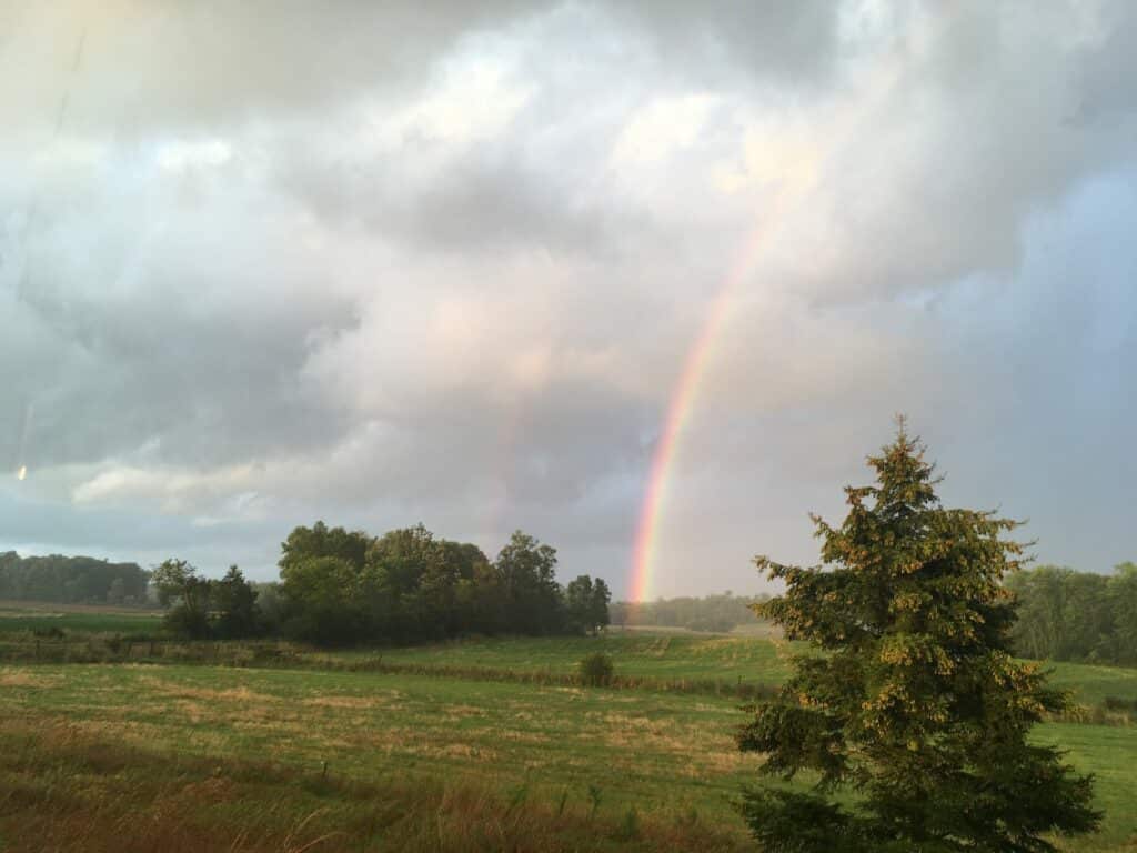 Slightly Cliche Rainbow - Surprise Turnips! — Knuckle Down News, Week 11