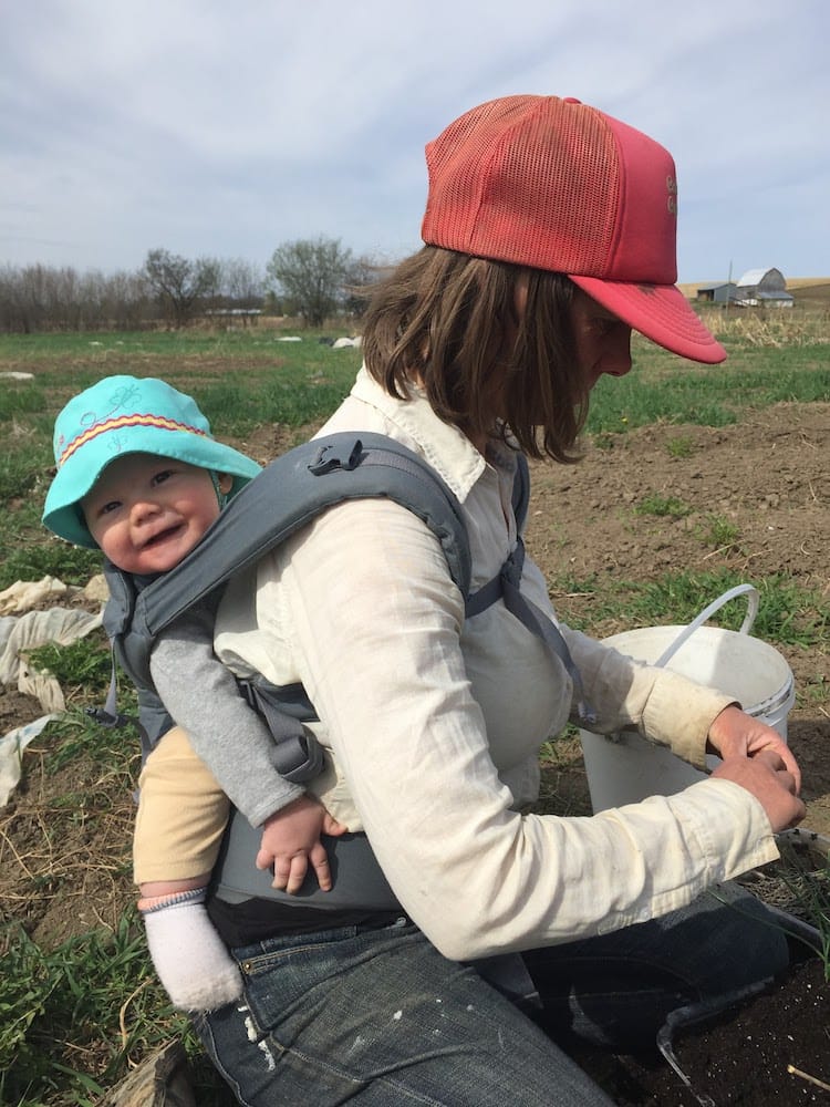 Vegetable farming with a baby on board