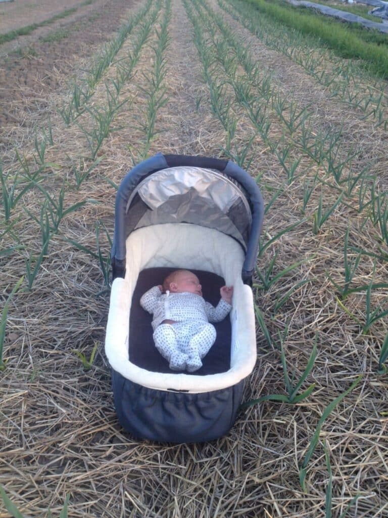 Max in Garlic - Spring has Sprung a New Little Farmer