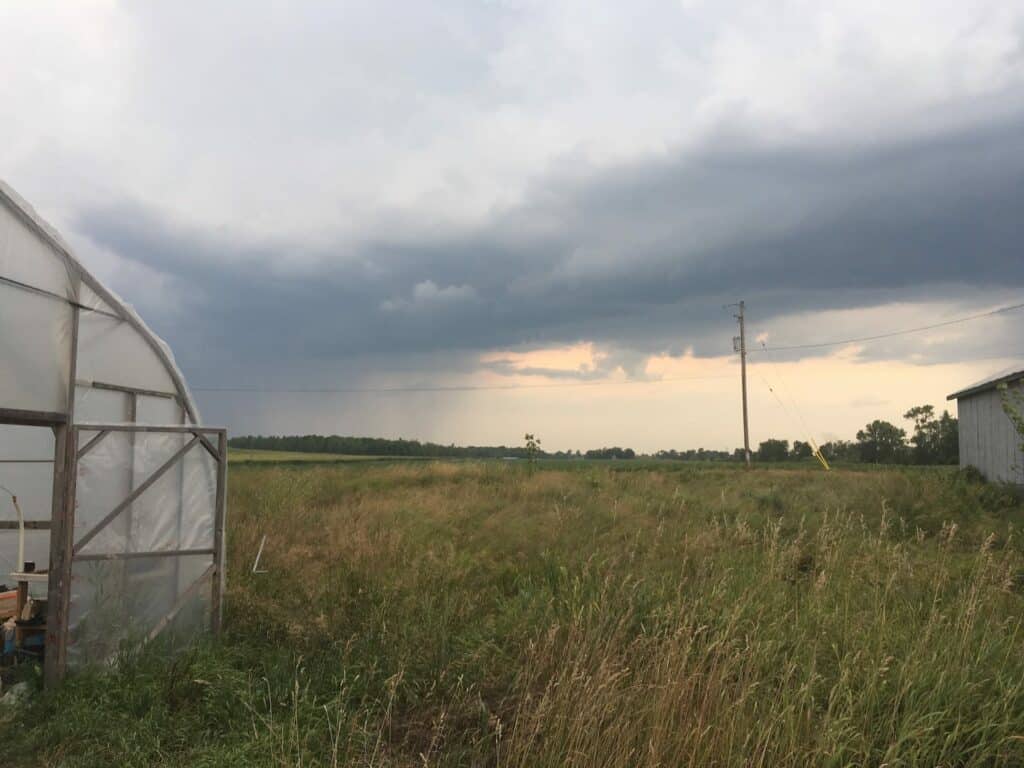 Rain Passing-By Pt 1