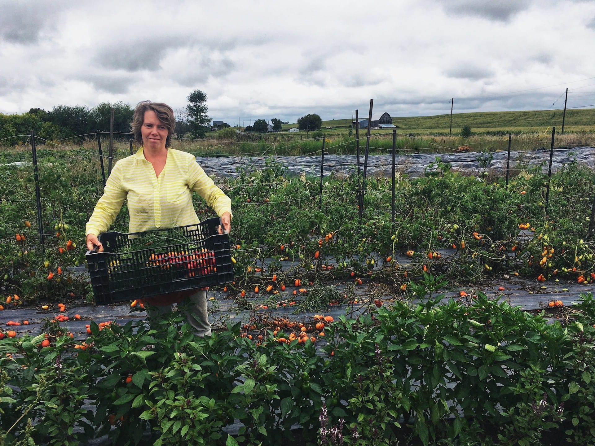 Bringing it - No Pick-Up in Toronto! Business as Usual on the Farm