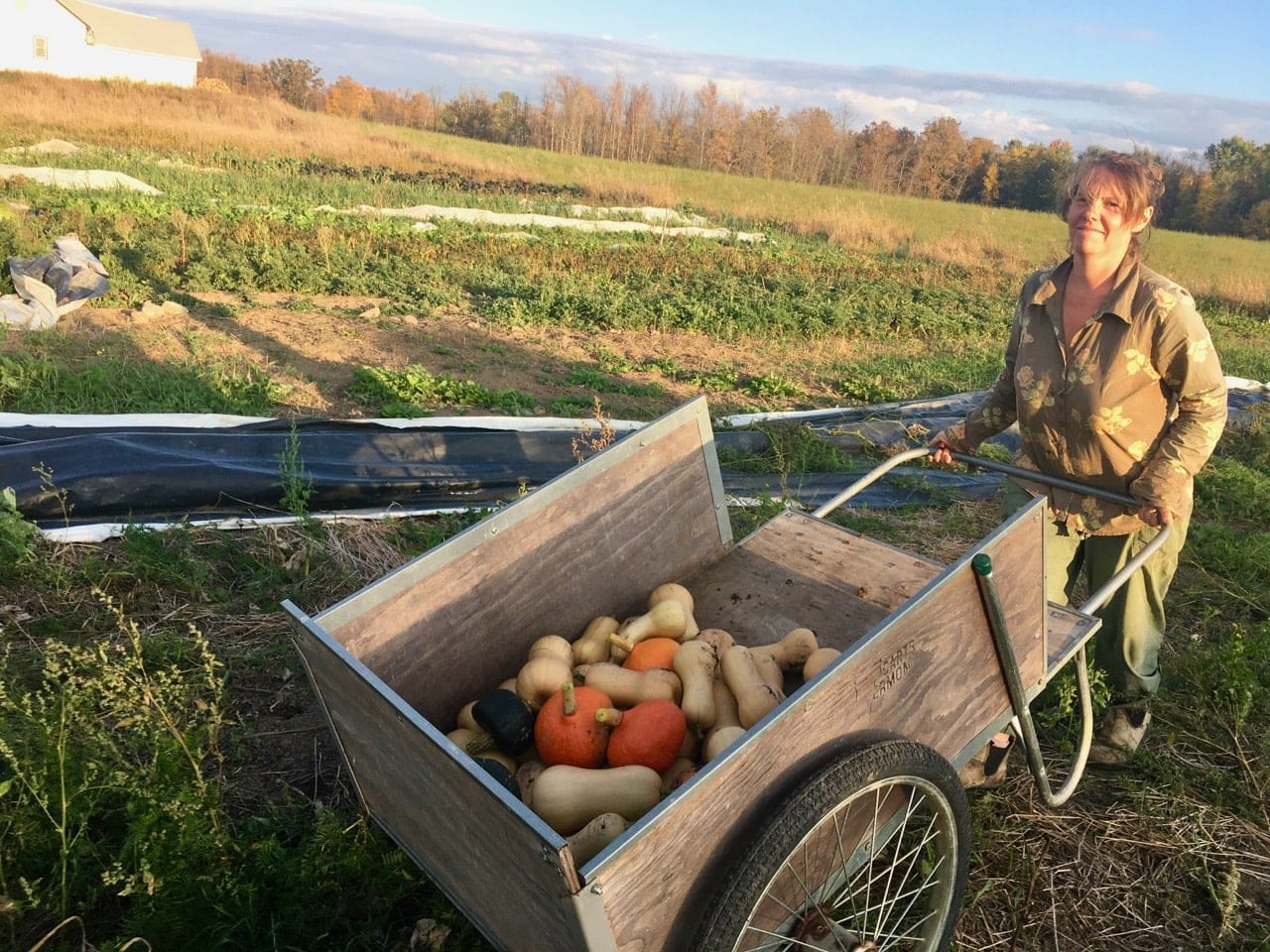 load of squash - Final Pick-Up for 2018!