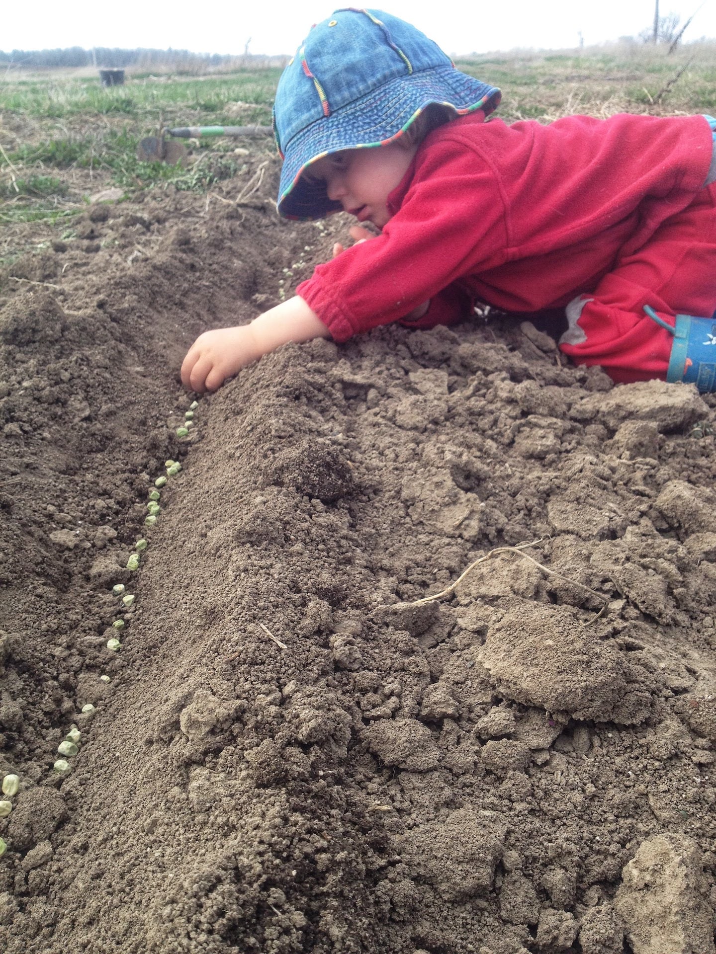Little Farmer Planting Seeds