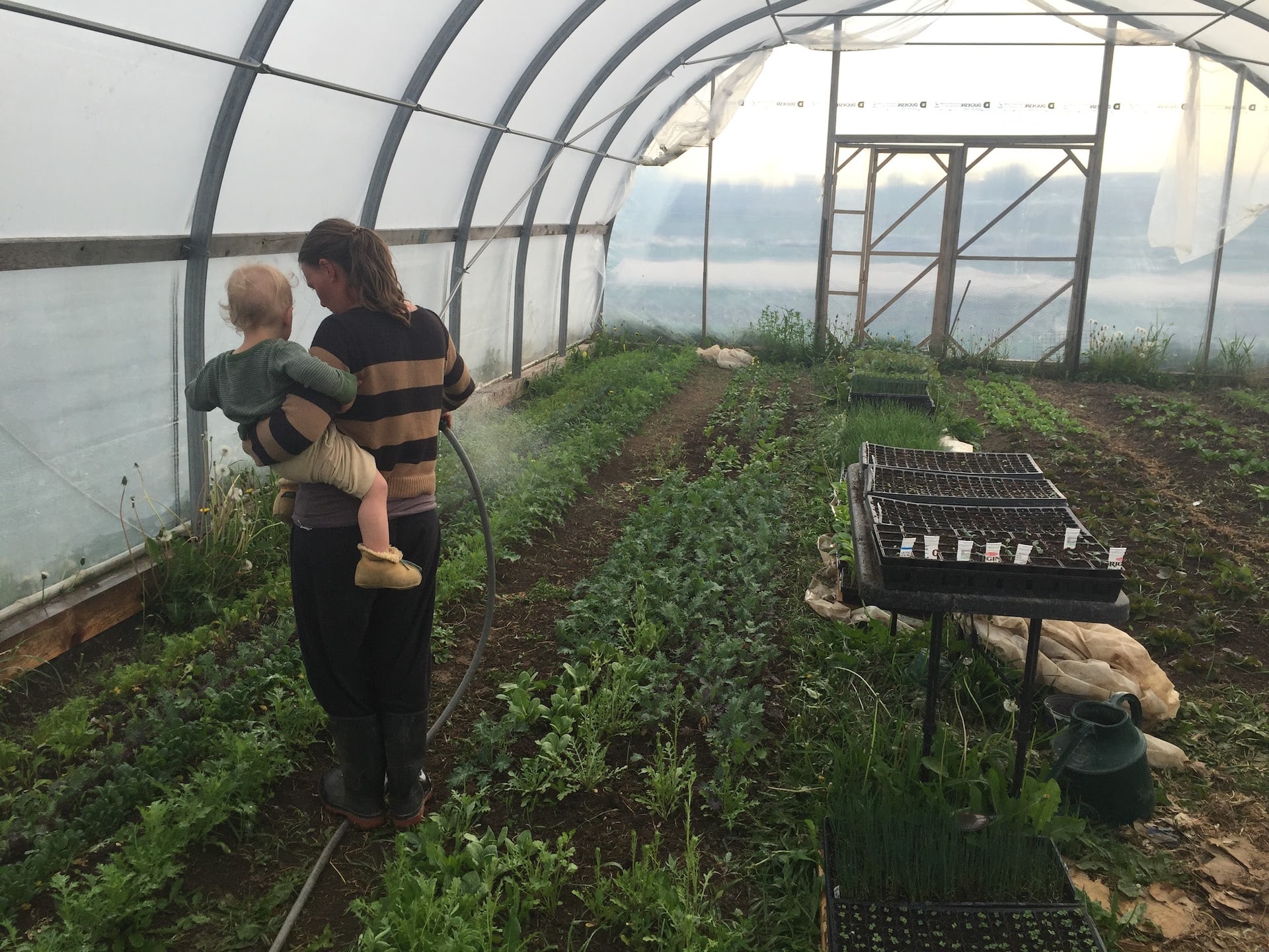 Watering the Greenhouse