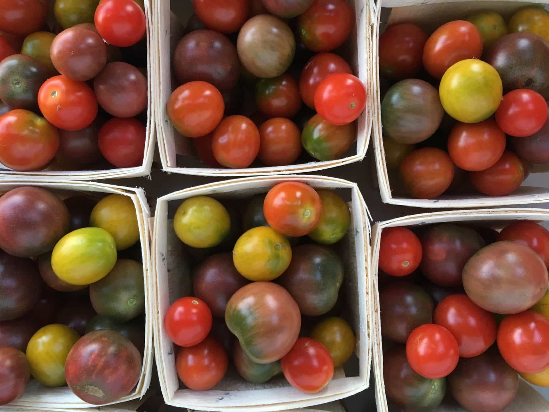 Organic Cherry Tomatoes in Baskets