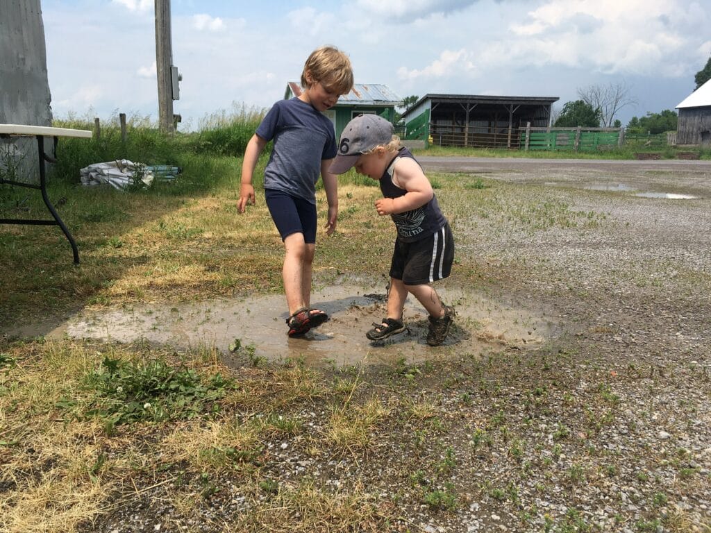 Puddle - Heat waves, thunderstorms and garlic scapes: welcome summer