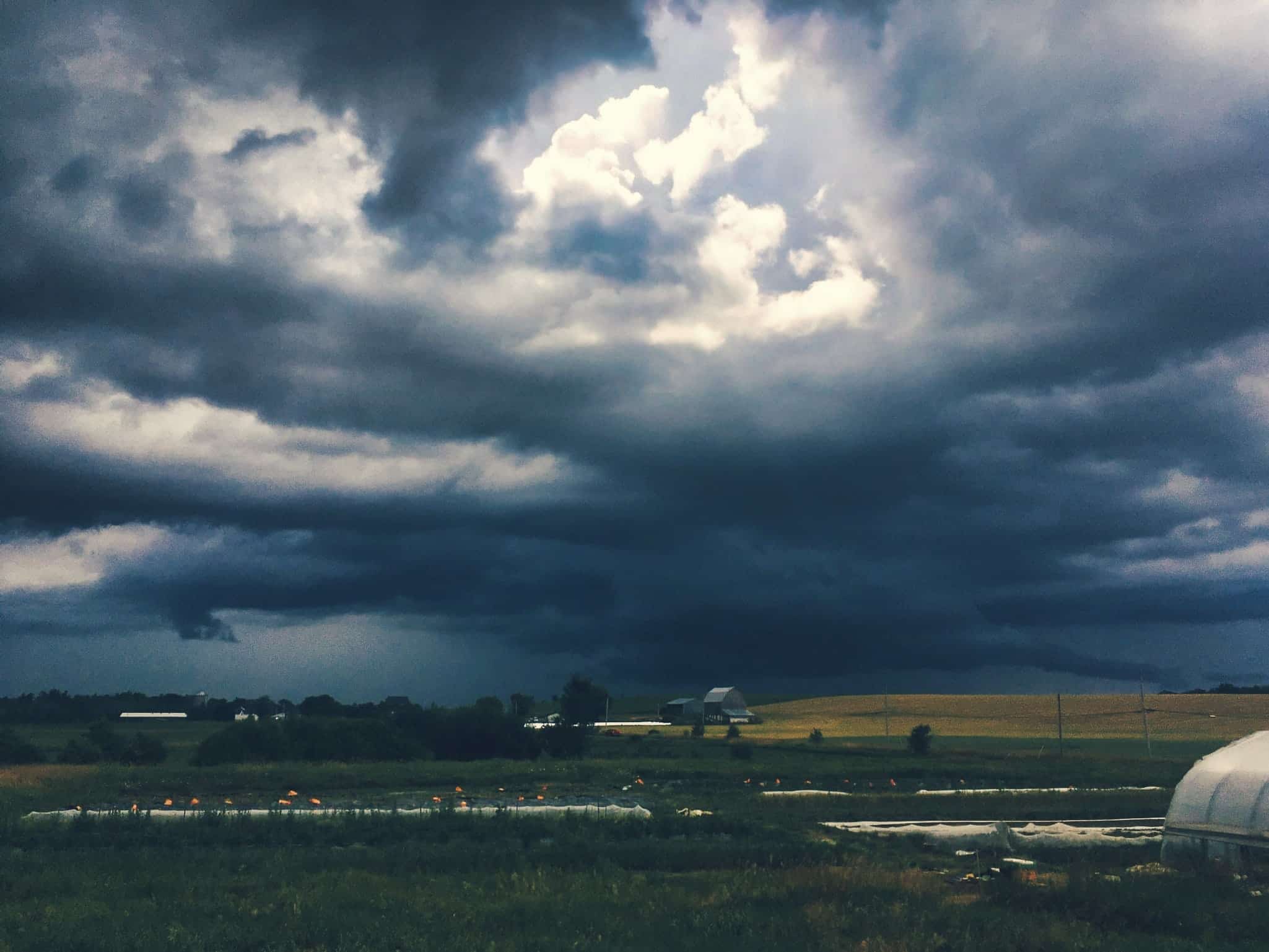 Pretentious Skies - Pretentious Skies and Lots of Garlic