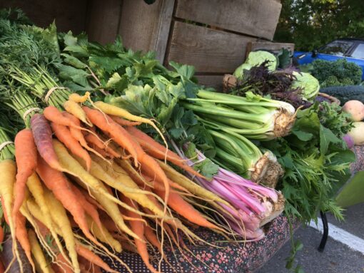 organic carrots celery etcetera - Rainbow Carrots