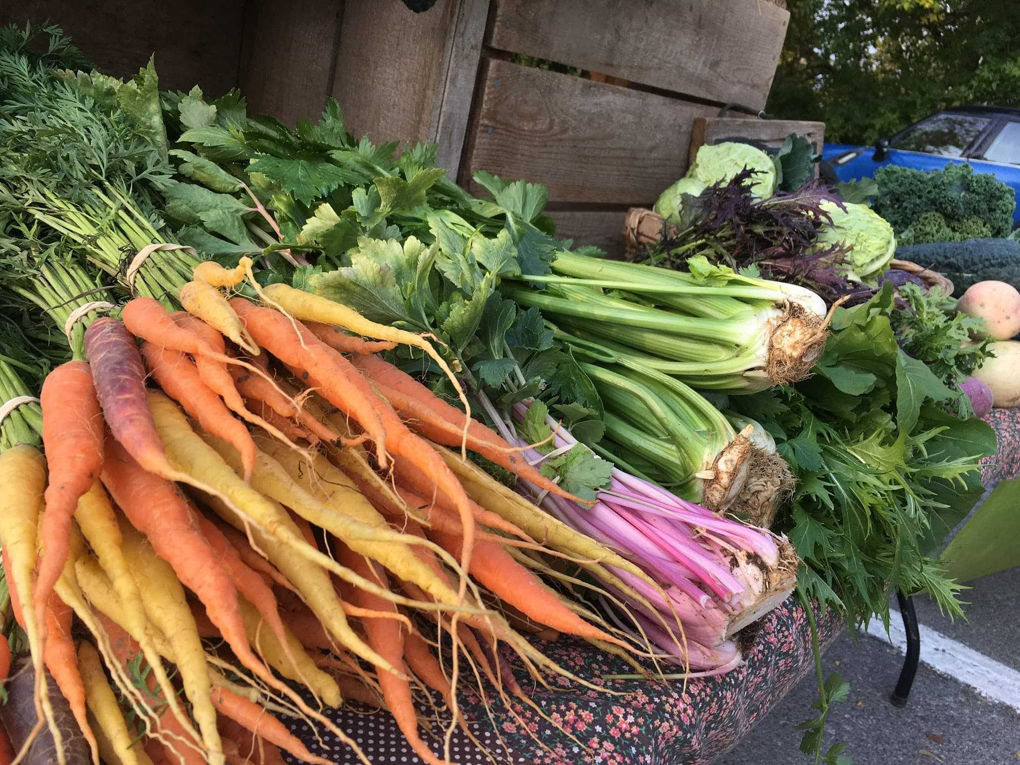 organic carrots, celery, etcetera