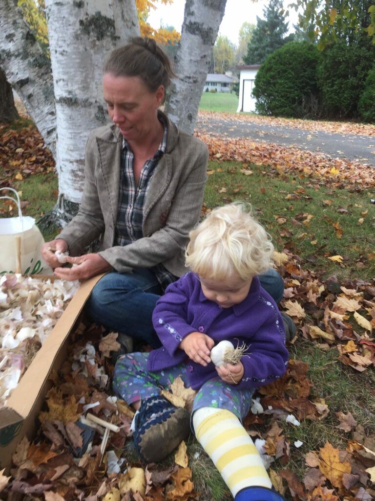 working with garlic - Putting fall colours on your plate