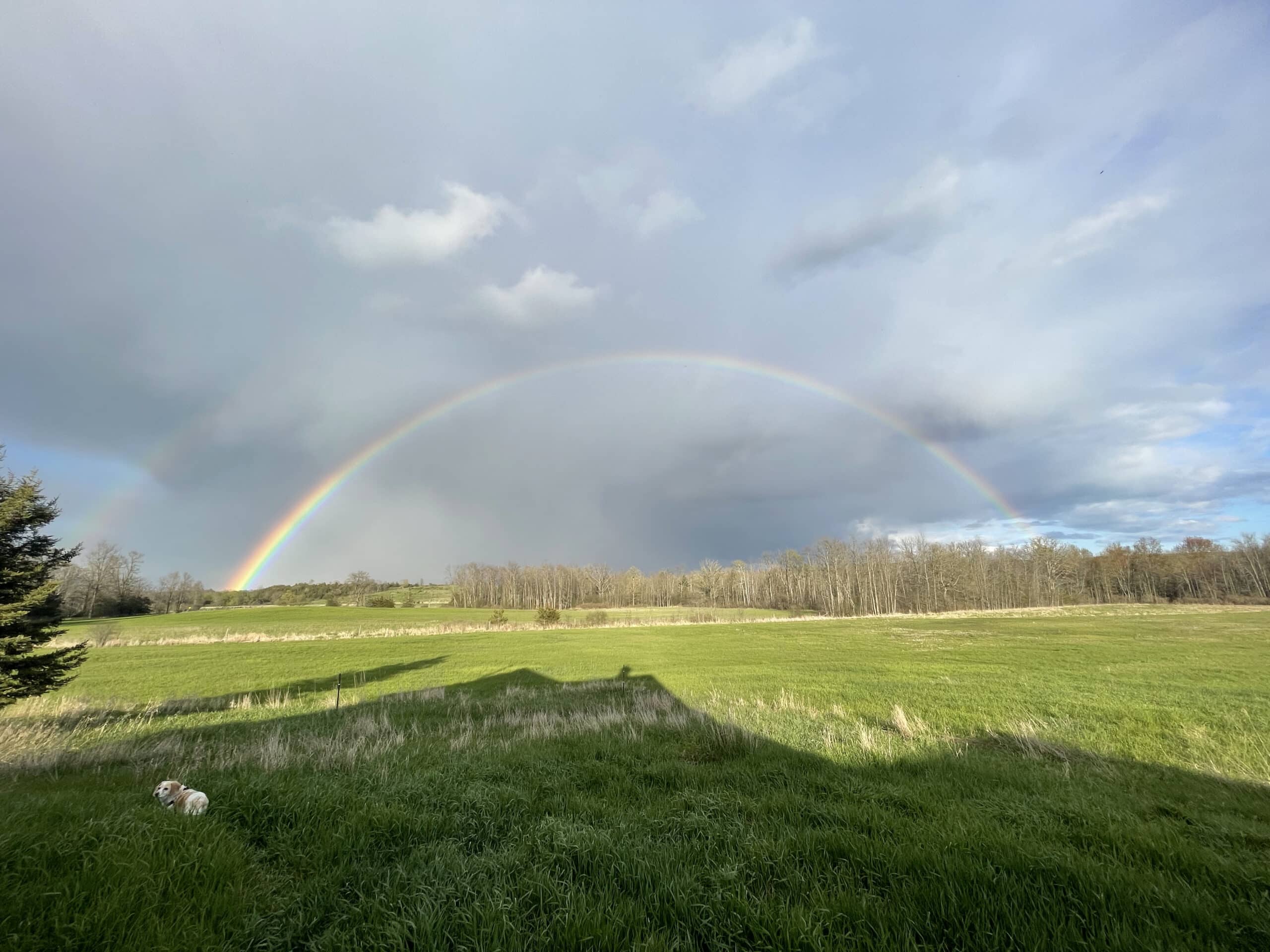 rainbow scaled - First CSA Pick-up of the Season