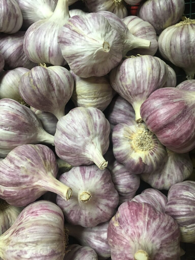 Lotsa Garlic - Mulching Materials for Young Lettuces 🥬 Knuckle Down News, Week 11