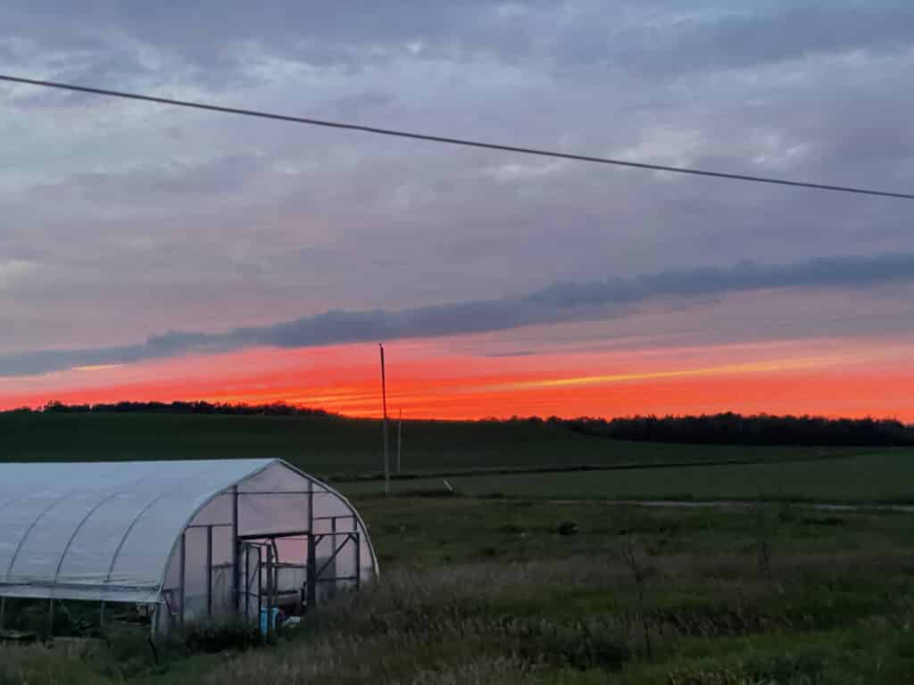 sunset near stirling - Knuckle Down News, Week Eight — A Walk in the Park