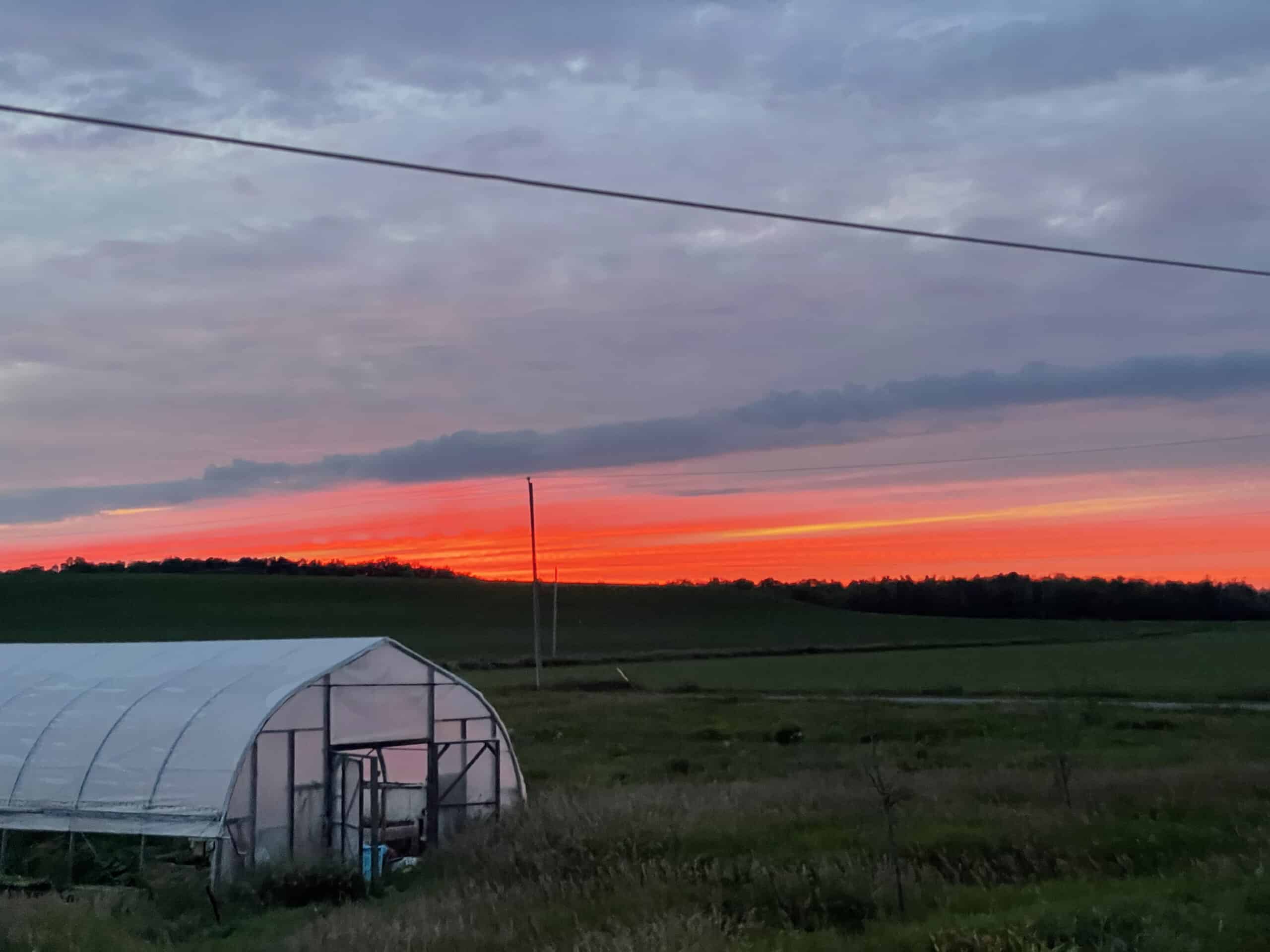 sunset near stirling scaled - Knuckle Down News, Week Eight — A Walk in the Park