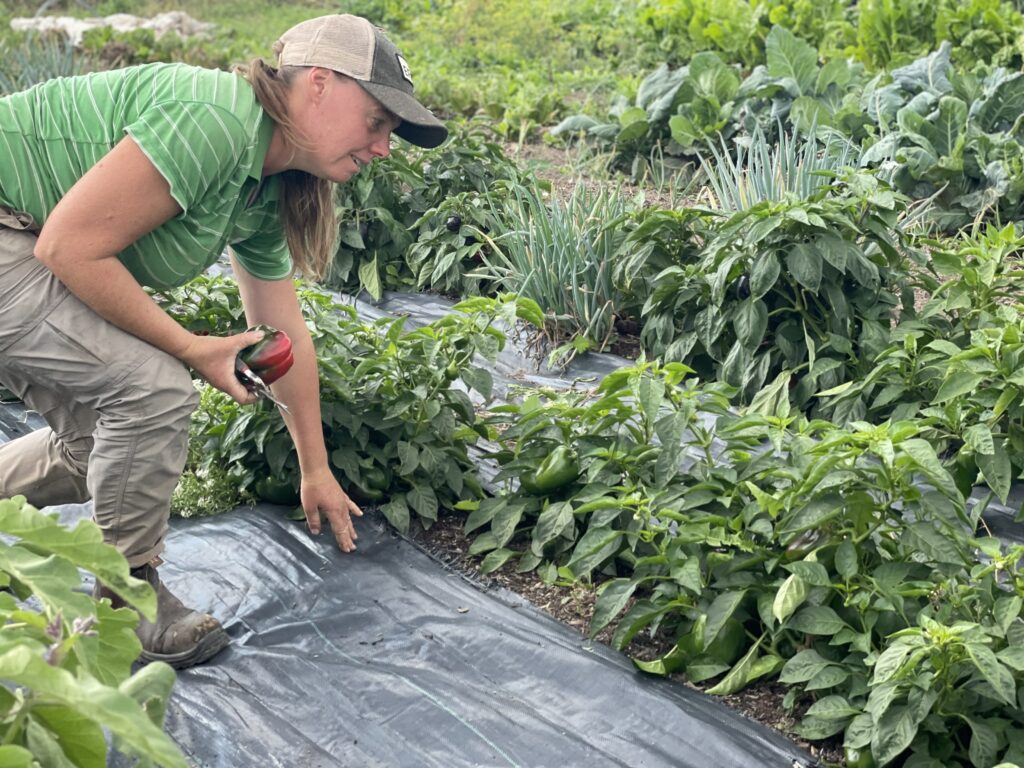 Garden Stuff - Muddy Monday