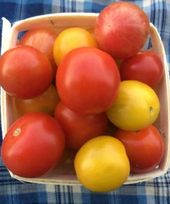 Cherry Tomatoes 1 - Organic Vegetables