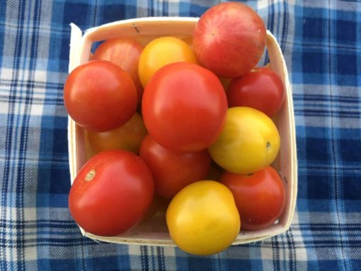 Cherry Tomatoes 1 - Cherry Tomatoes