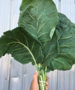 Collard Greens scaled 1 - Organic Vegetables