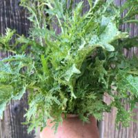 Spicy Mustard Greens (bunch)