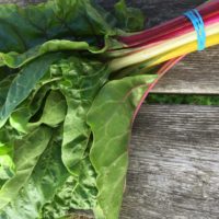 Swiss Chard