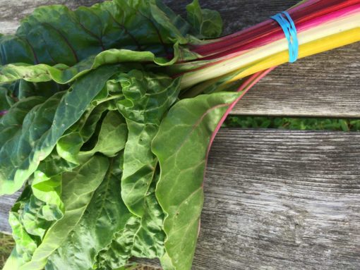 Organic Rainbow Chard scaled 1 - Swiss Chard