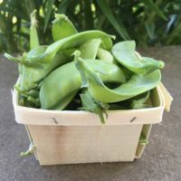 Snow Peas
