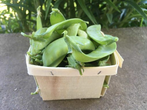 Snow Peas - Snow Peas