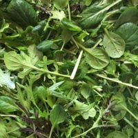 Spicy Salad Mix
