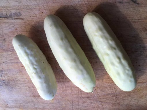 ghost pickles - Cucumber (white)