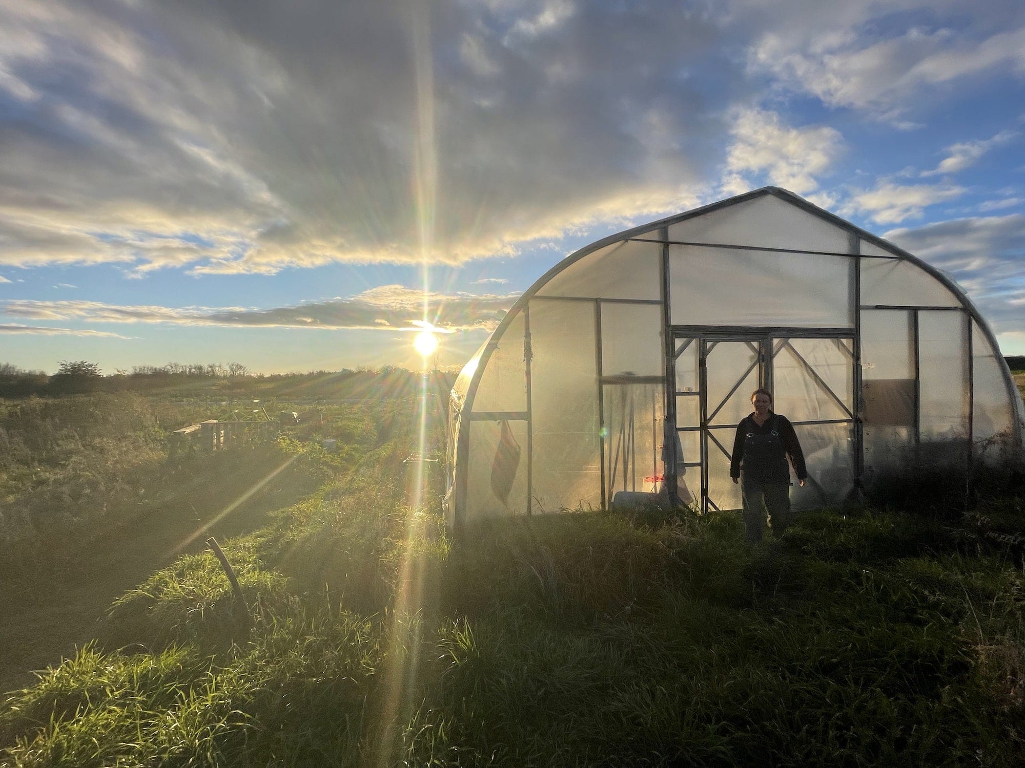 sun behind the greenhouse - Cold Front, Big Parsley