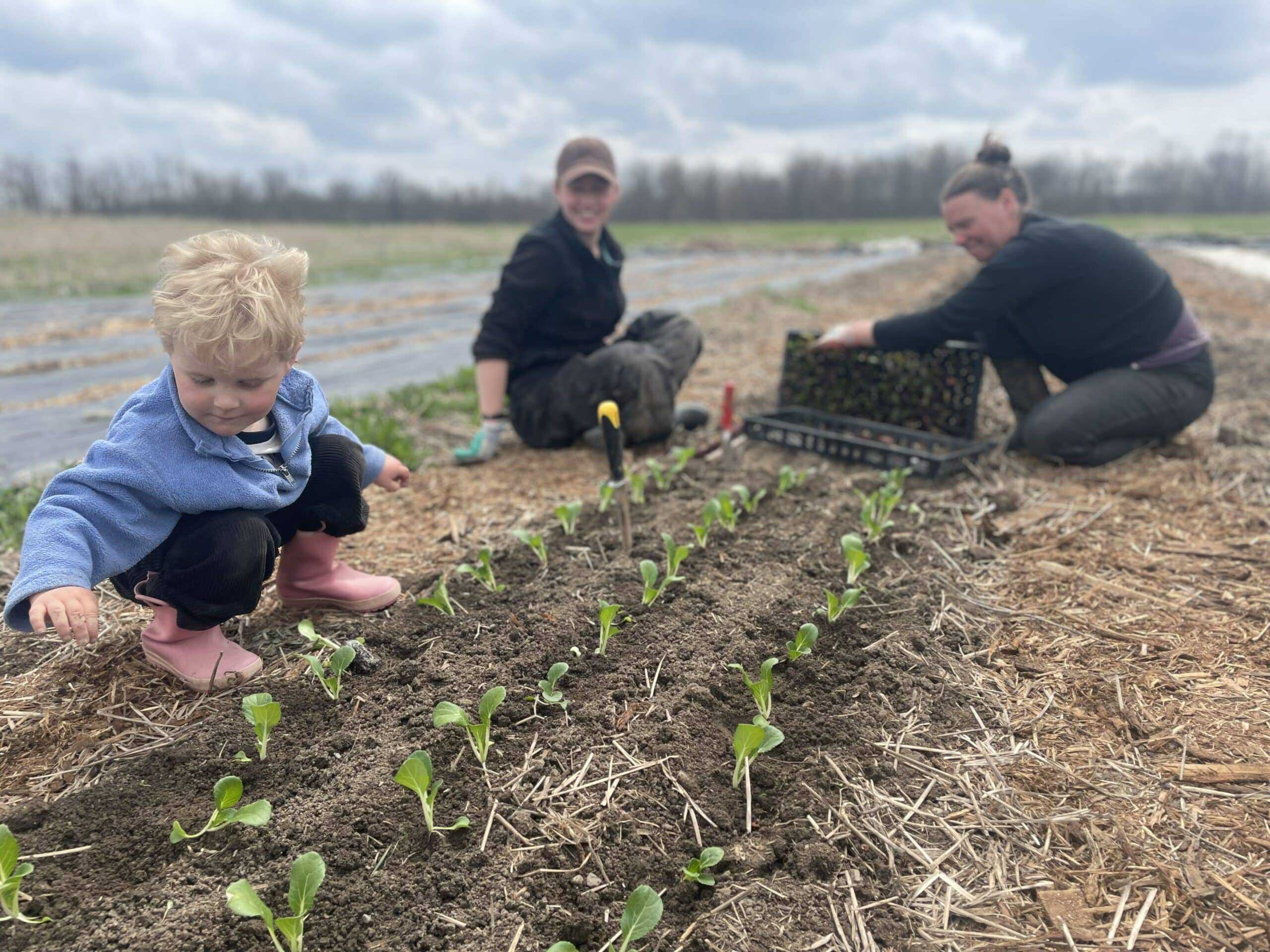 Planting scaled - A rainy moment for announcements
