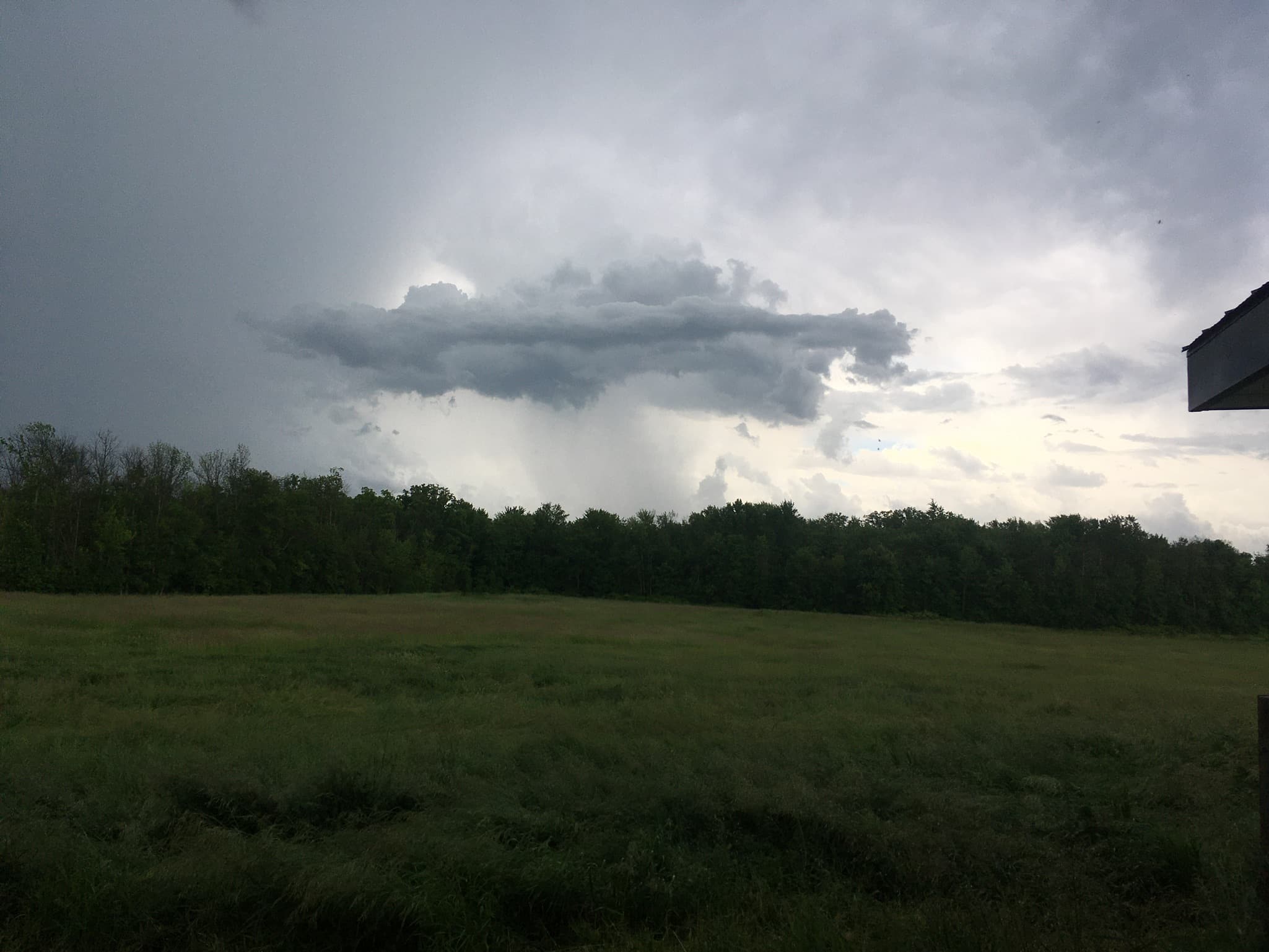 More Ominous Skies - 🌬️ Walloping Winds, Stirling Market, & CSA Week 2