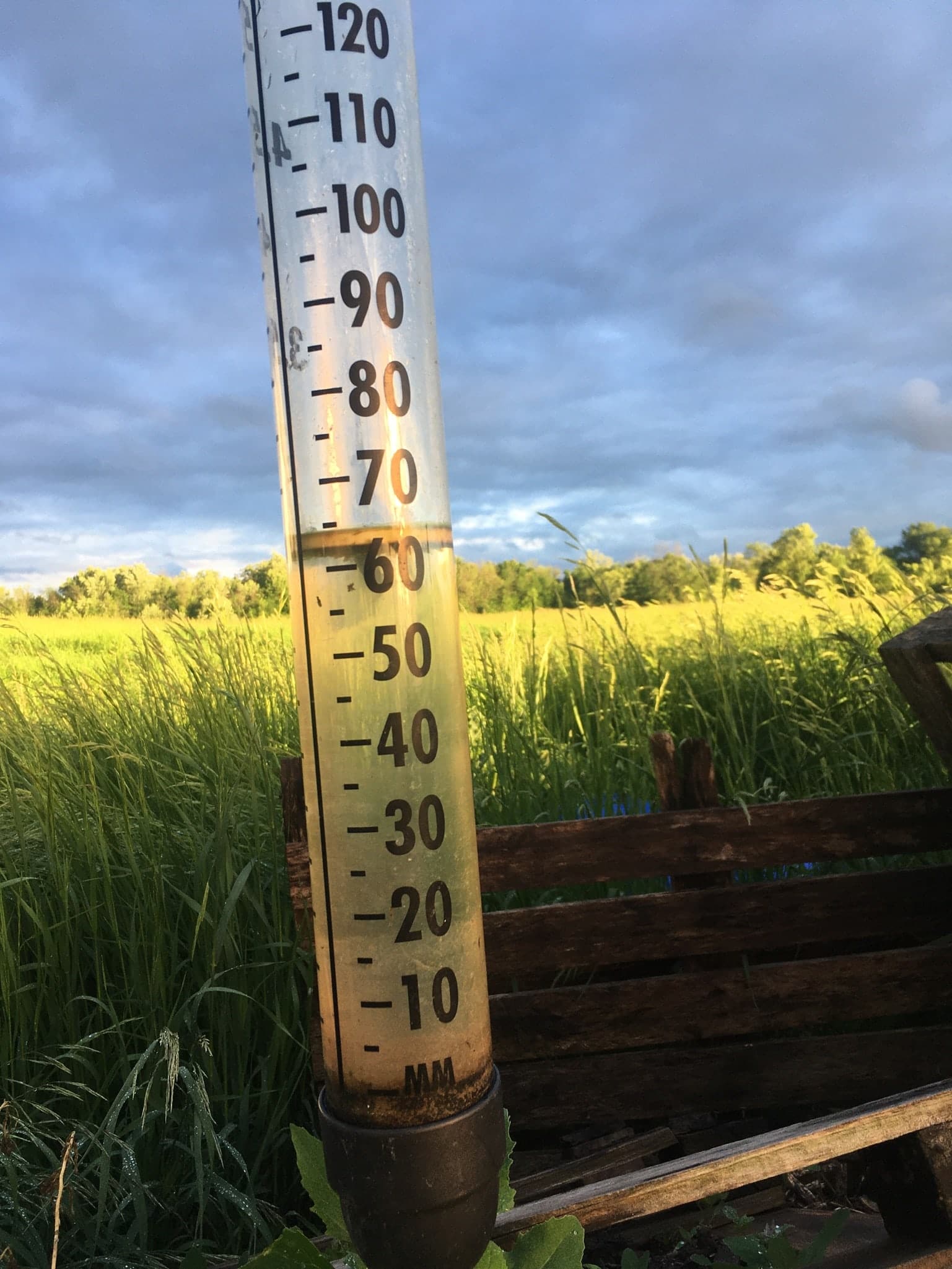 Rain Guage - Week One of CSA 2022, plus the June Hamper!