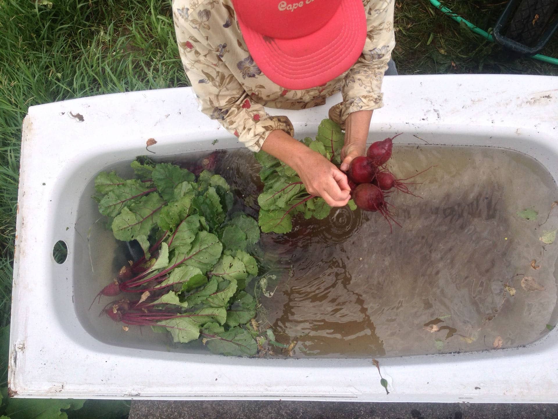 Beet Bath Jenny - Home Home