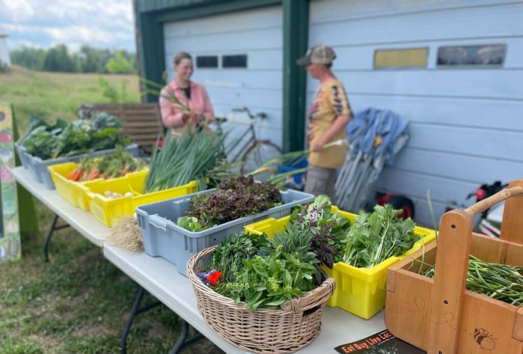 Organic Vegetables CSA Share