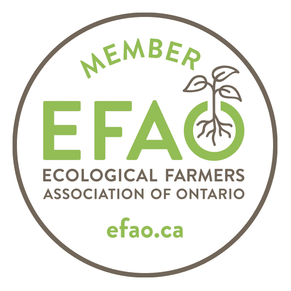 EFAO member logo - Home Home