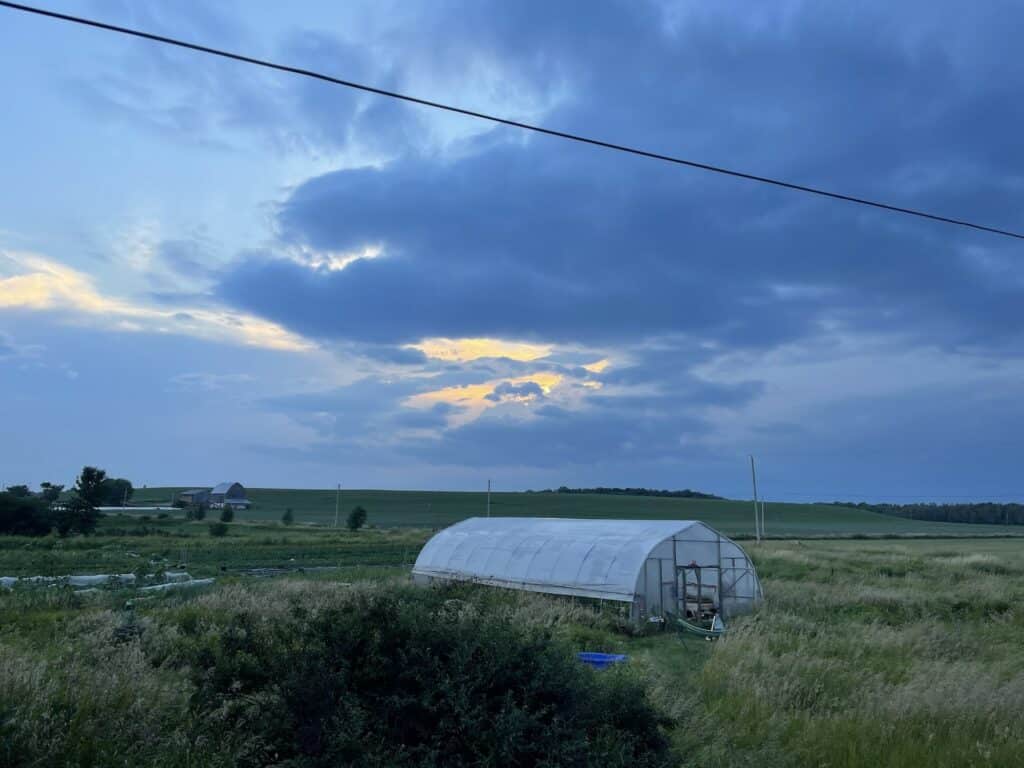 Greenhouse - The Information Superhighway was built for Garlic