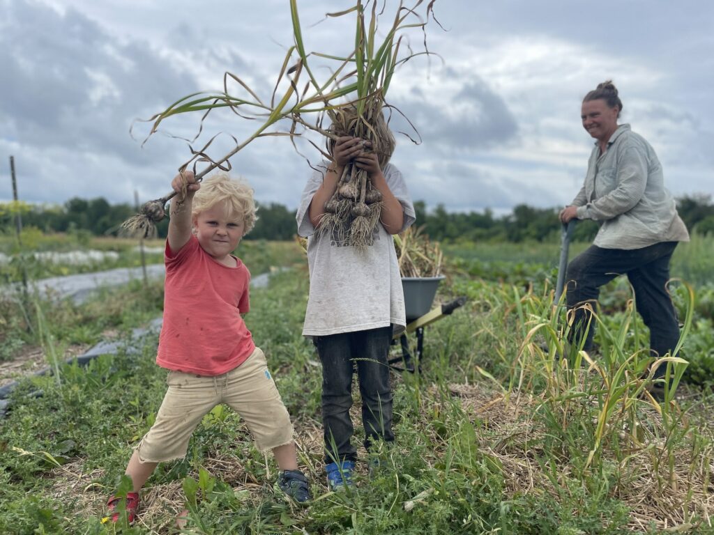 Kids in the Field - The Information Superhighway was built for Garlic