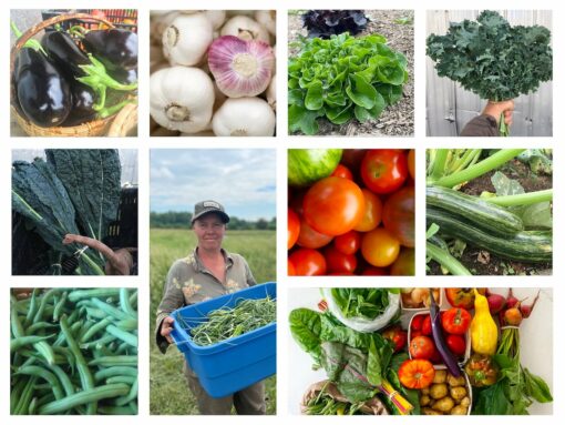 Assorted Veggies