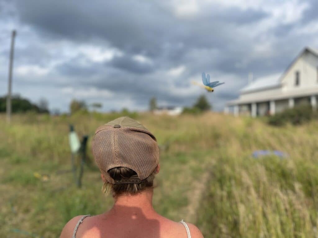 Back to the house - Horsefly Repellant & The Fruits of our Labour