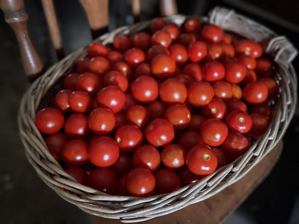 Cherry Tomatoes in a Basket - I'm as Corny as Quinte in August