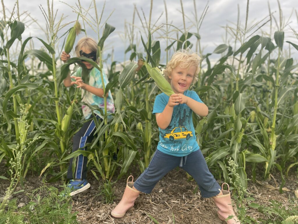 Corn Ninja - I'm as Corny as Quinte in August