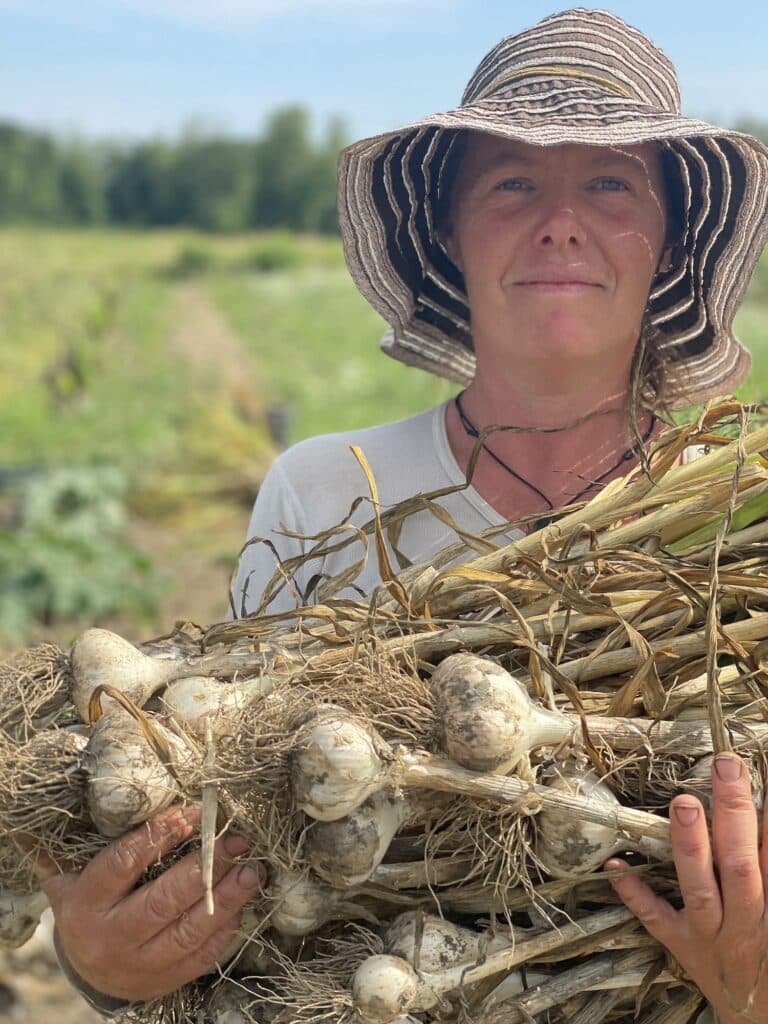 Garlic Harvest 2022 - Garlic Harvests and Driveway Navigation